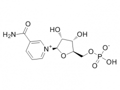 Beta Nicotinamide Mononucleotide