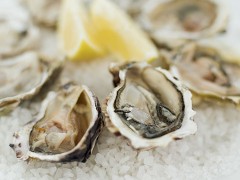 Oyster Protein Peptide