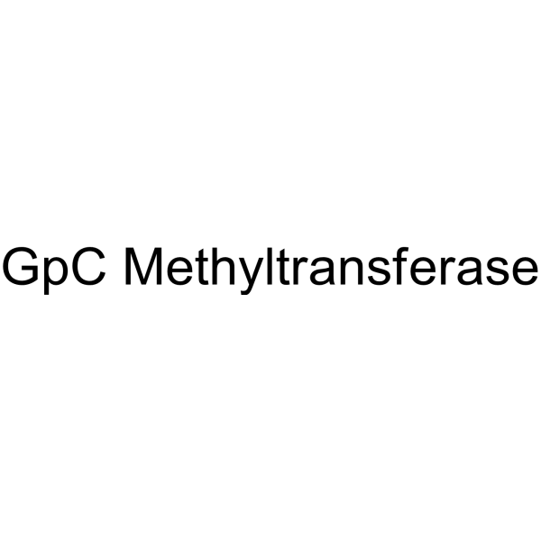 GpC Methyltransferase (GpC )_DNA Methyltransferase_Epigenetics ...